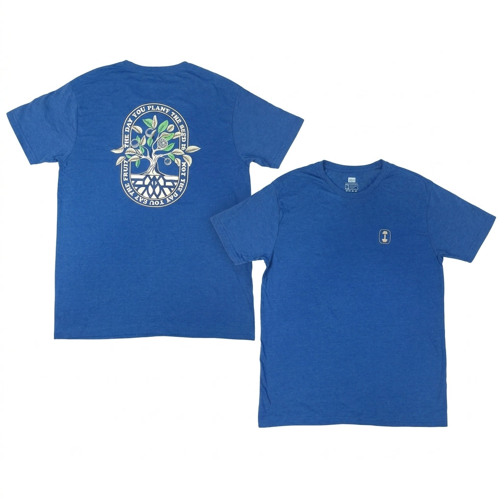 Clothing, Shoes & Accessories