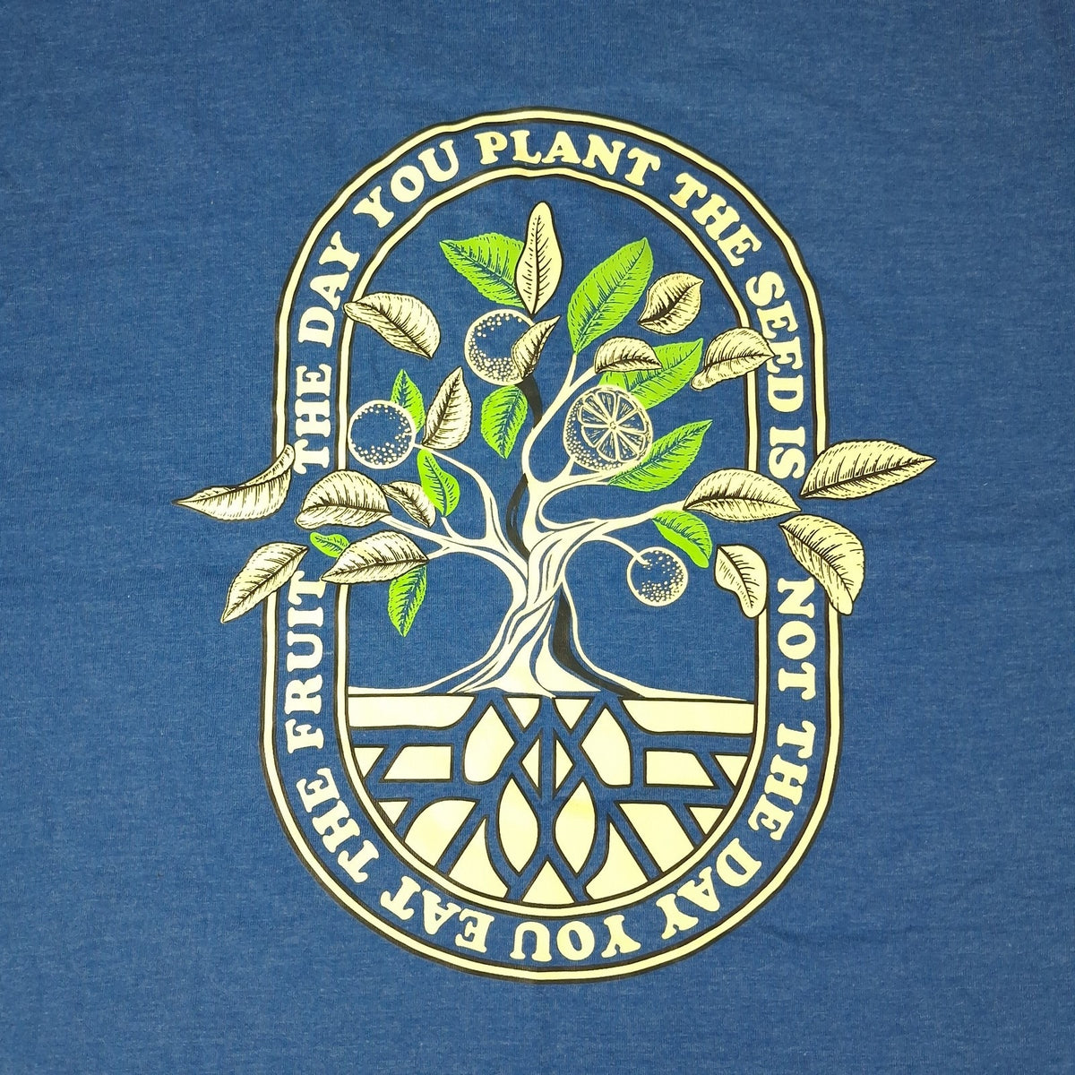 The Lift Box Plant The Seed Gym T-Shirt Blue L Fitness Workout Athletic Tee NWT