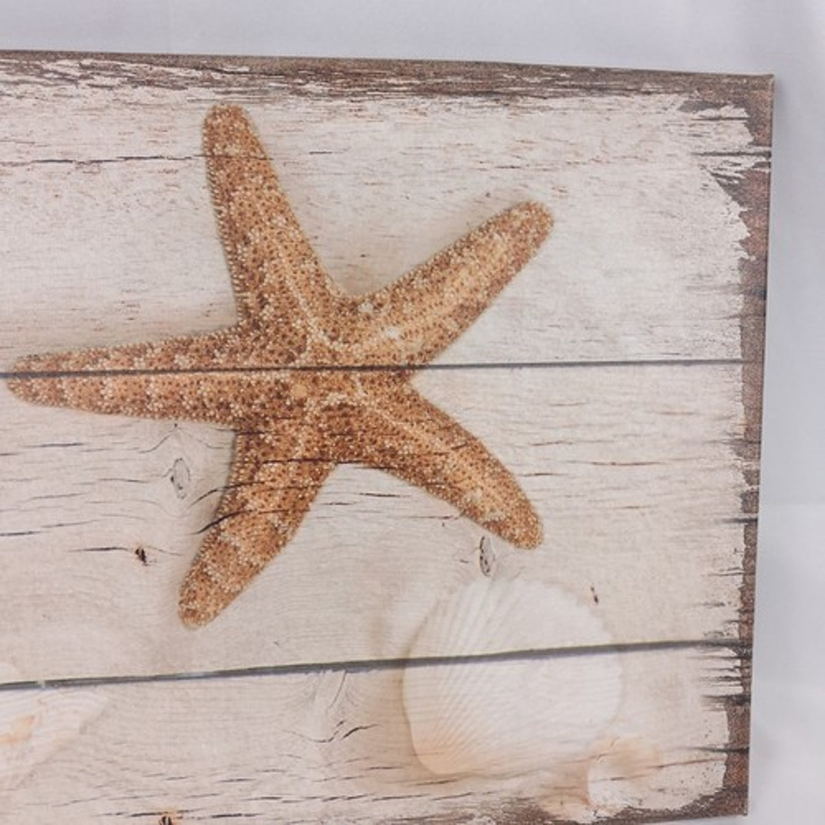 Coastal Starfish Seashells Wood Plank Canvas Wall Art Decor 24x16