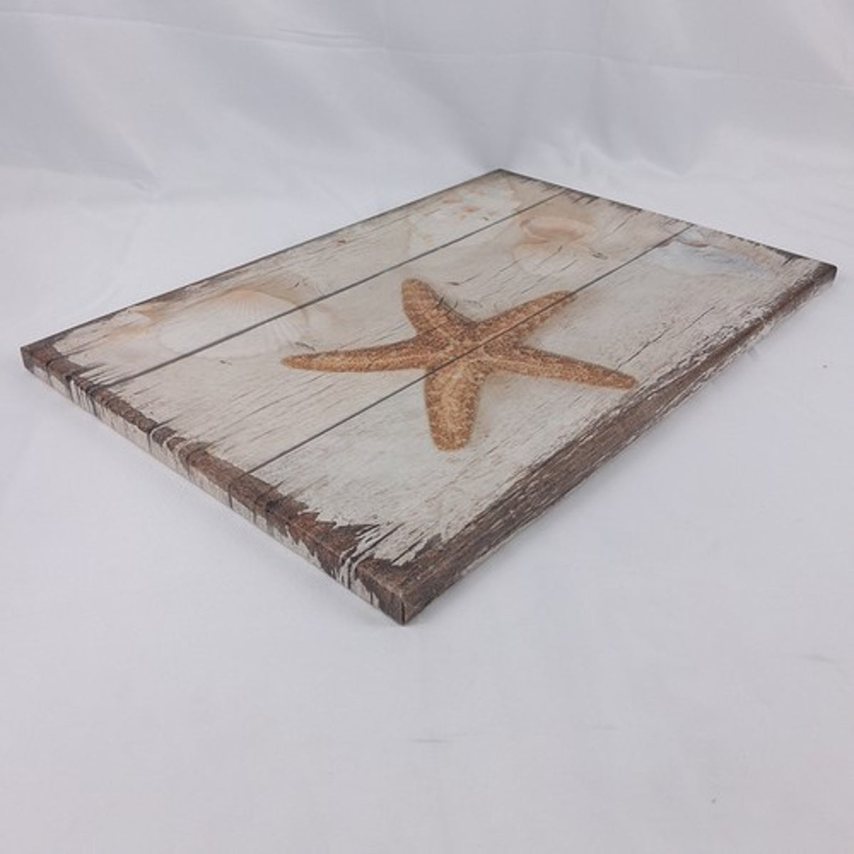Coastal Starfish Seashells Wood Plank Canvas Wall Art Decor 24x16