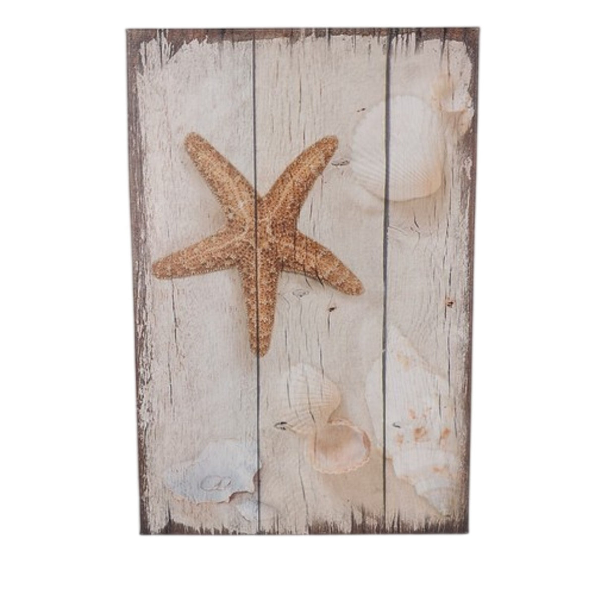 Coastal Starfish Seashells Wood Plank Canvas Wall Art Decor 24x16