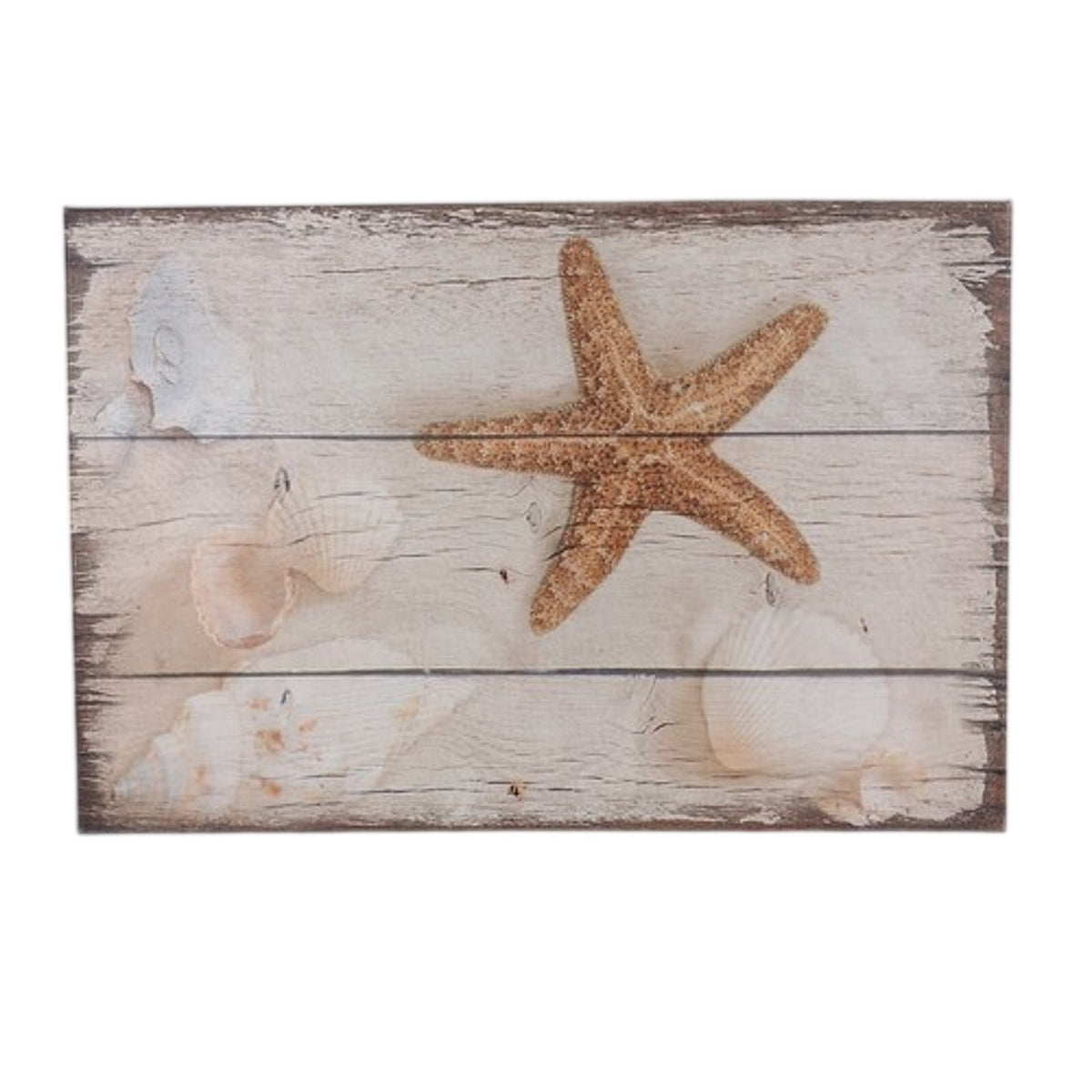 Coastal Starfish Seashells Wood Plank Canvas Wall Art Decor 24x16