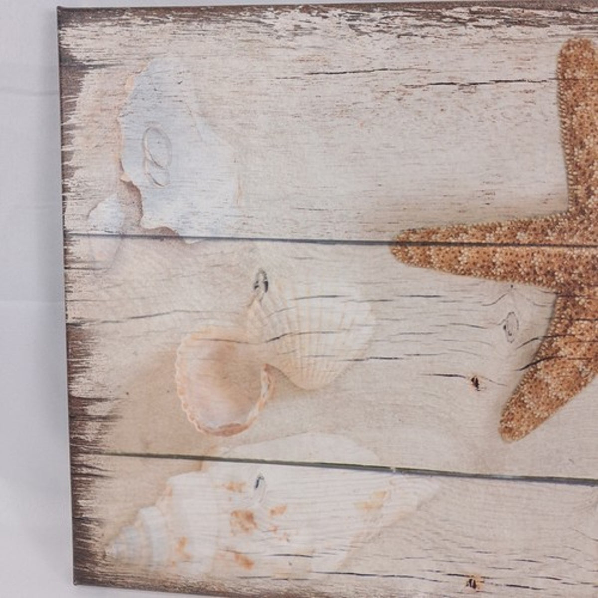 Coastal Starfish Seashells Wood Plank Canvas Wall Art Decor 24x16